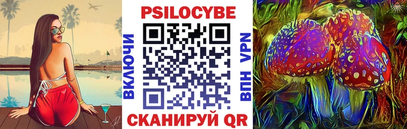 Купить Княгинино Псилоцибиновые грибы Magic Shrooms
