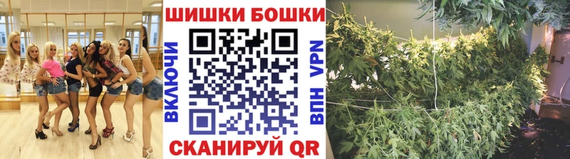 Купить закладки  Княгинино  Шишки марихуана THC 21% 